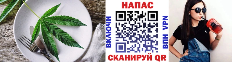 Canna-Cookies конопля цена наркотик Нестеровская