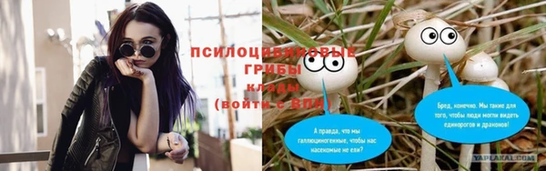 прущая мука Вязники