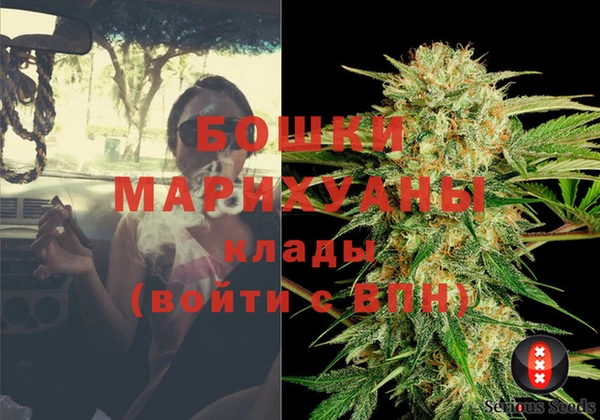 трава Вязьма