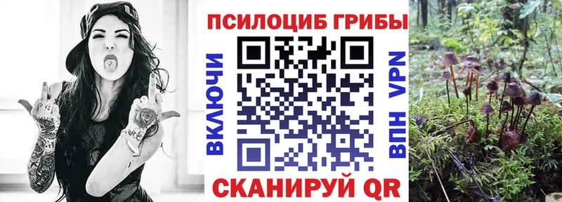 Псилоцибиновые грибы мицелий  Нестеровская 